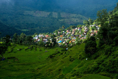 High angle view of trees and houses on field