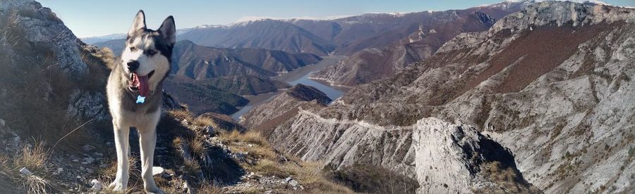 Panoramic view of kozjak lake