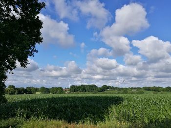 Scenic view of field against sky