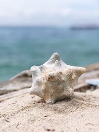 Close-up of sand on beach