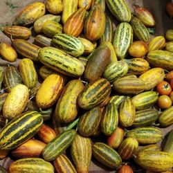 Full frame shot of fruits for sale at market stall