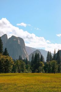 Scenic view of landscape and mountains against sky