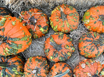 Full frame shot of pumpkins for sale in market