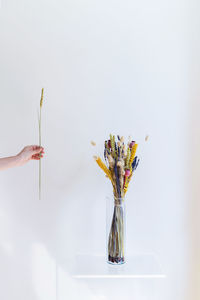 Person holding umbrella against white background