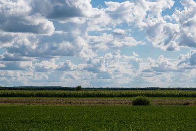 Scenic view of field against cloudy sky