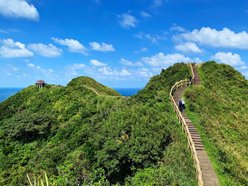 Panoramic view of trees on landscape against sky