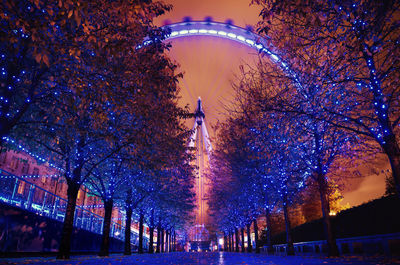 Illuminated trees against ferris wheel