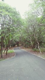 Road amidst trees against sky