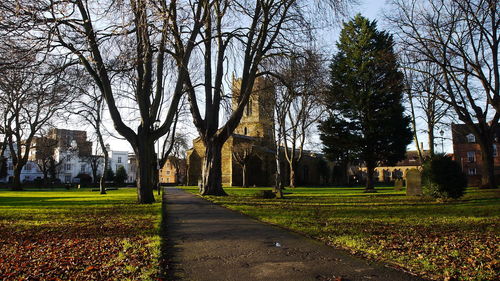 Footpath amidst trees in park