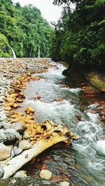 View of river flowing through rocks in forest