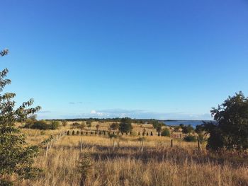 Scenic view of landscape against clear blue sky