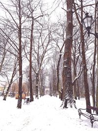 Bare trees on snow covered landscape