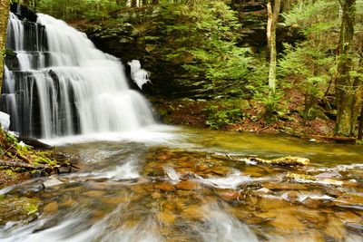 Waterfall in forest