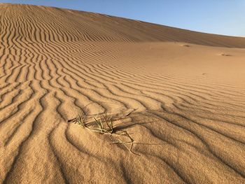 Sand dunes in desert against clear sky