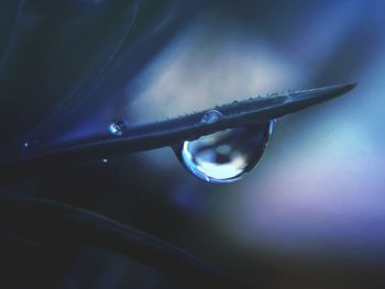 Close-up of water drops on leaf