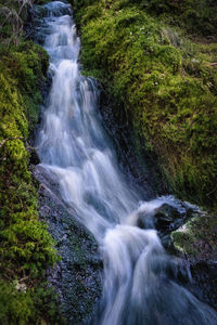 Scenic view of waterfall