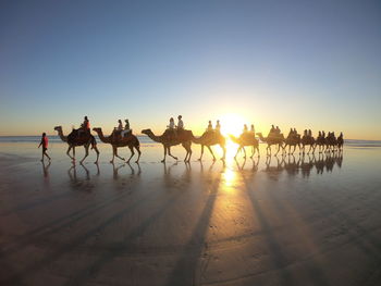 Group of people at beach against sky during sunset