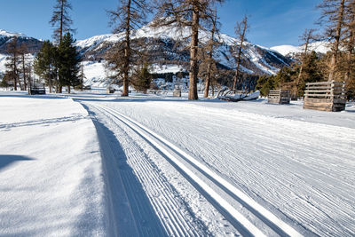 snow