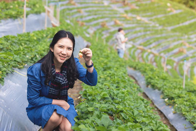 Asian woman harwesting fresh strawberries in agricultural farm field with happiness emotion