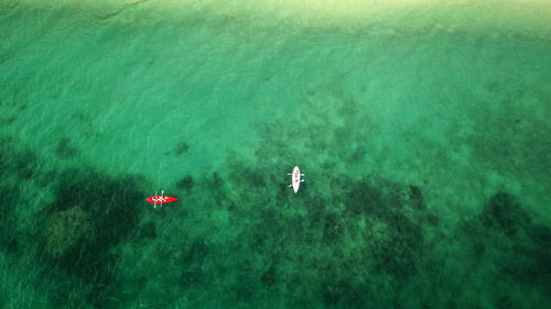 High angle view of people swimming in sea