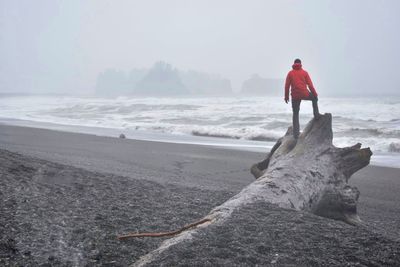 Rear view of man standing on driftwood while looking at sea during foggy weather