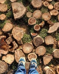 Low section of man standing on logs