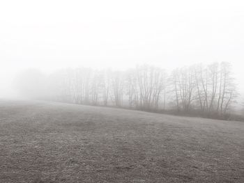 Trees on field against sky during winter