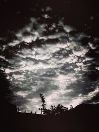 Low angle view of silhouette trees against sky at dusk