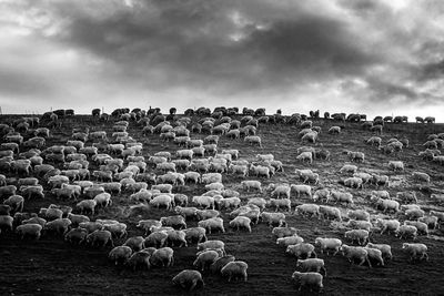 Field against cloudy sky