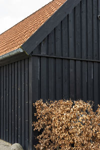 Exterior of house by fence against building