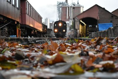 Surface level of train on railroad track during autumn