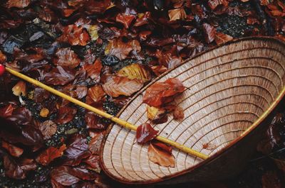 High angle view of dried autumn leaves on tree