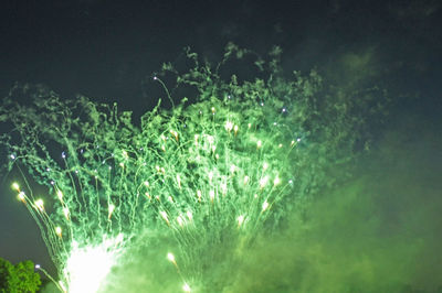 Plants growing at night