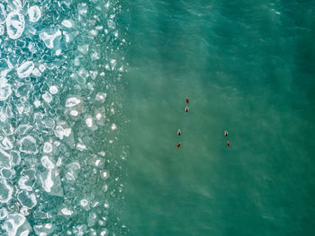 Aerial view of ducks swimming in lake