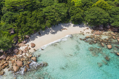 Scenic view of sea against trees in forest