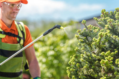 Rear view of man watering plants