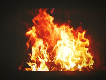 Close-up of bonfire at night