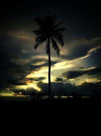 Silhouette palm tree against sky at night
