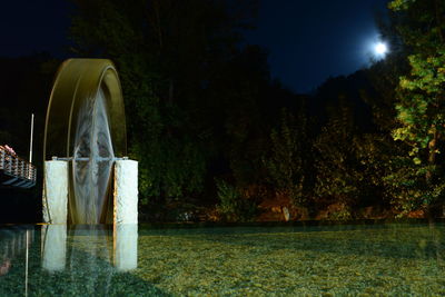 Trees in park at night