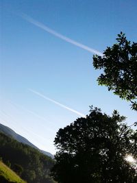 Low angle view of trees against clear blue sky