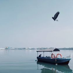 Boat flying over sea against sky