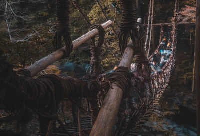 Rope bridge against trees in forest