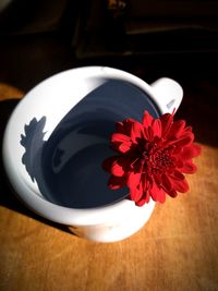 High angle view of red rose in vase on table