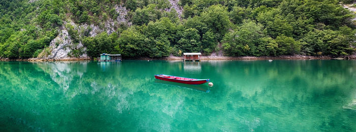 Boat in sea against trees