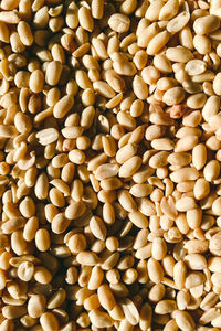 Pile of nuts from above is drying