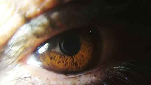 Close-up of human eye