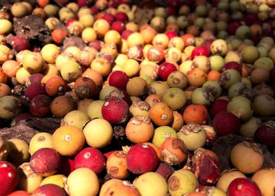 Full frame shot of fruits for sale in market