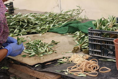 High angle view of man and vegetables in basket