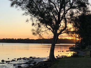 Silhouette tree by lake against sky during sunset