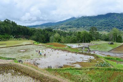 Scenic view of landscape against sky